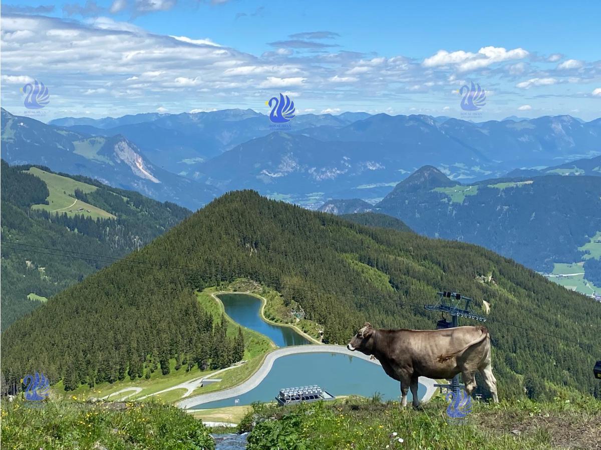 Royal Swan Appartement, Tirol Fügen Екстериор снимка