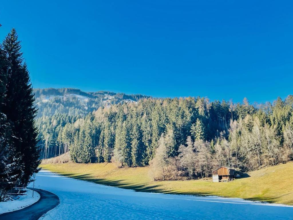 Royal Swan Appartement, Tirol Fügen Екстериор снимка
